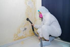 Best Comprehensive Air Testing for Mold Contaminants  in Ara, AL